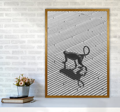 Monkey Buisness Photography Print by Victoria Frost A1 Print Only