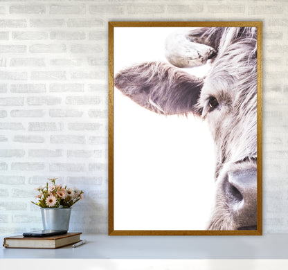 Highlander II Photography Print by Victoria Frost A1 Print Only