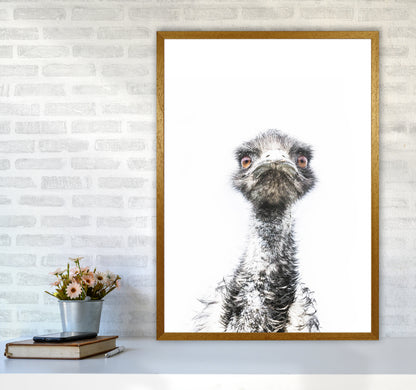 E.M.U Photography Print by Victoria Frost A1 Print Only
