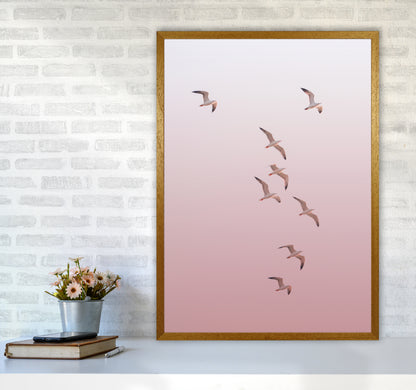Birds in the Sky-pink Photography Print by Victoria Frost A1 Print Only