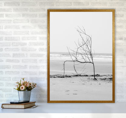 Beach Sculpture Photography Print by Victoria Frost A1 Print Only