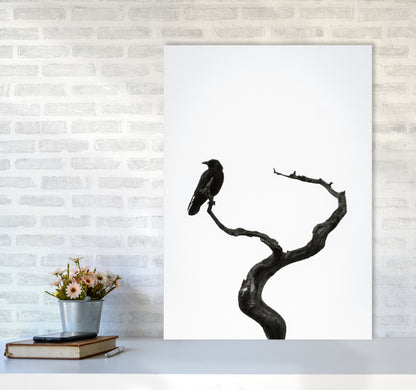 On the look out Photography Print by Victoria Frost A1 Black Frame