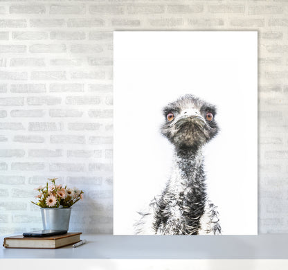 E.M.U Photography Print by Victoria Frost A1 Black Frame