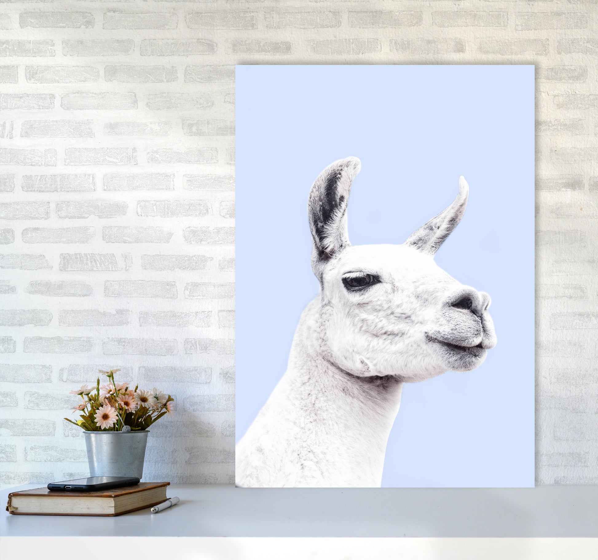 Blue Llama Photography Print by Victoria Frost A1 Black Frame