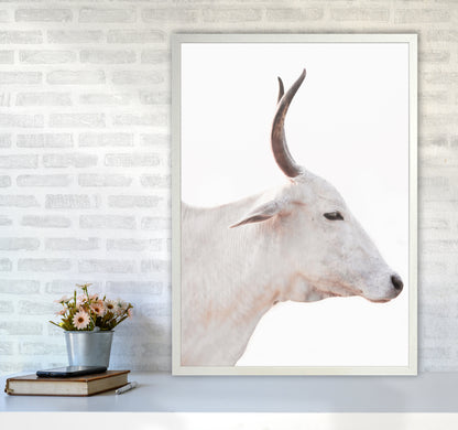 White Cow II Photography Print by Victoria Frost A1 Oak Frame