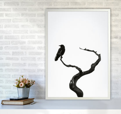 On the look out Photography Print by Victoria Frost A1 Oak Frame