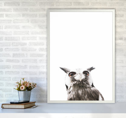 Lil Owl Photography Print by Victoria Frost A1 Oak Frame