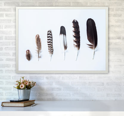 Feathers II Photography Print by Victoria Frost A1 Oak Frame