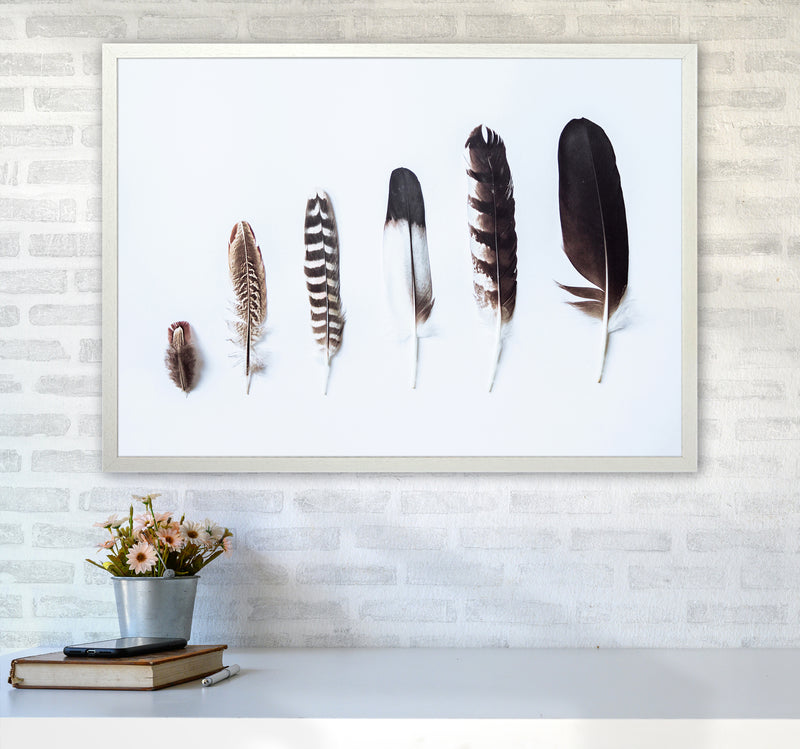 Feathers II Photography Print by Victoria Frost A1 Oak Frame