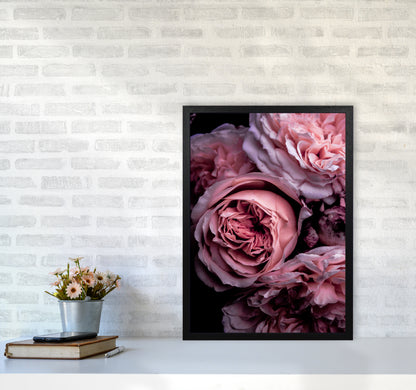 Vintage Pink Photography Print by Victoria Frost A2 White Frame