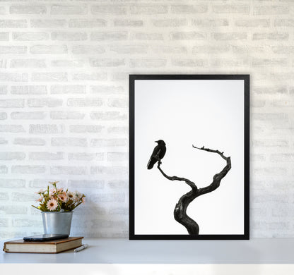 On the look out Photography Print by Victoria Frost A2 White Frame