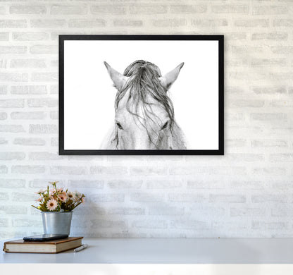 Horse II Photography Print by Victoria Frost A2 White Frame