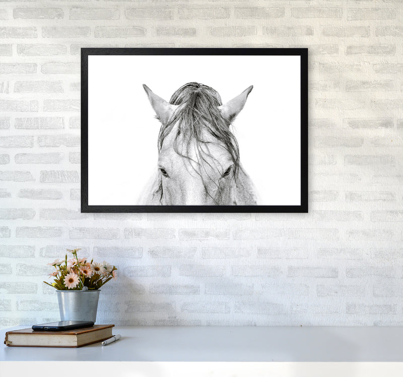 Horse II Photography Print by Victoria Frost A2 White Frame