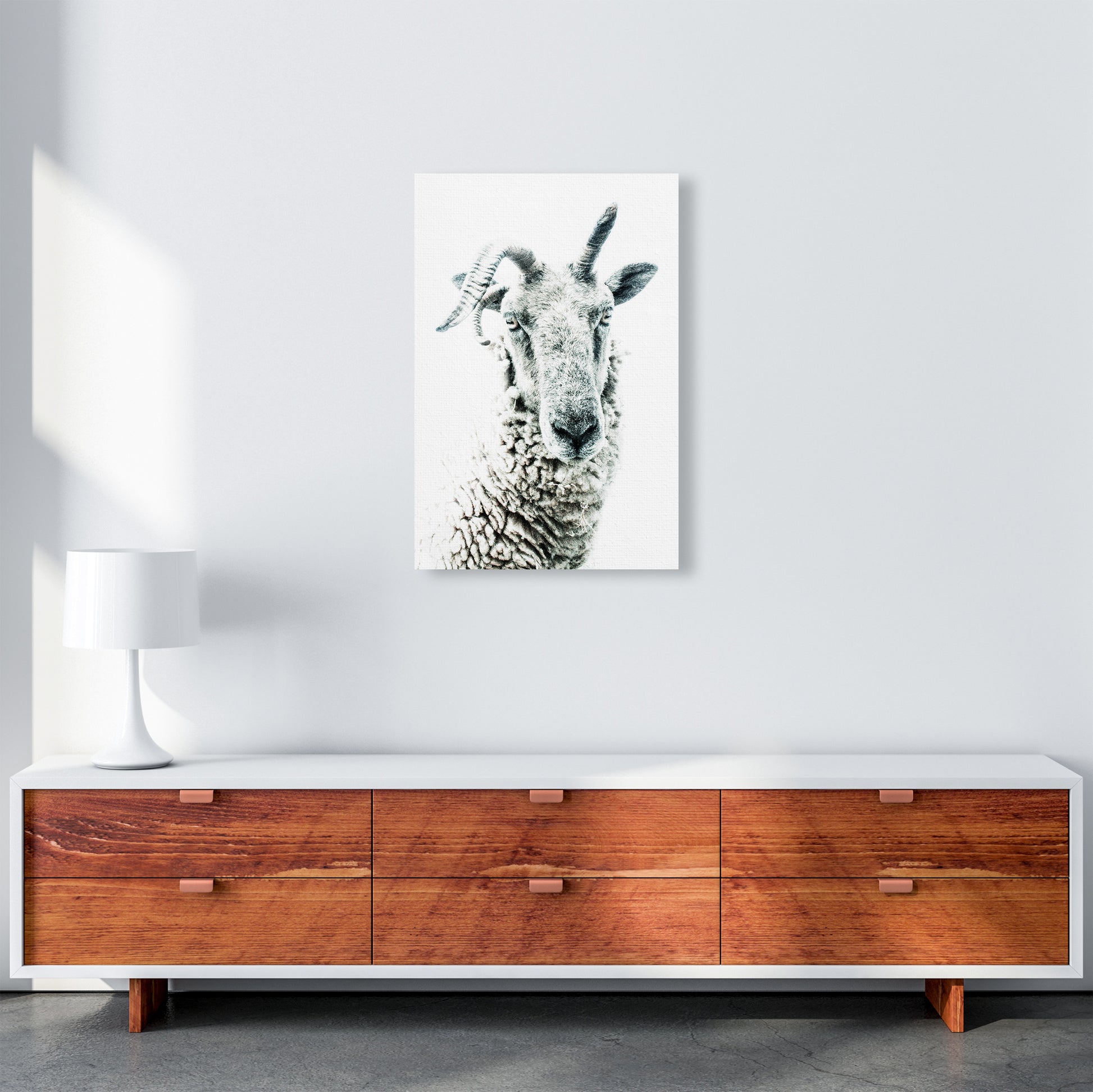 Sheep Photography Print by Victoria Frost A2 Canvas