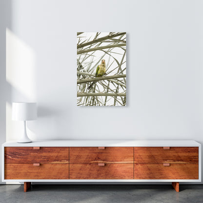 Parrot Photography Print by Victoria Frost A2 Canvas