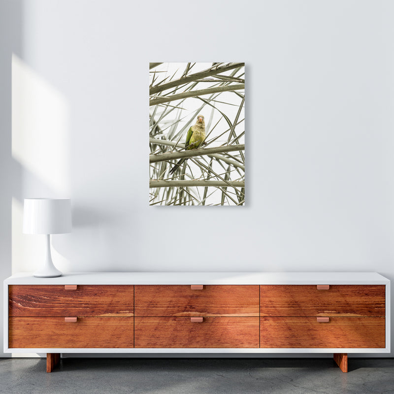 Parrot Photography Print by Victoria Frost A2 Canvas