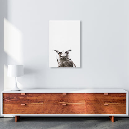 Lil Owl Photography Print by Victoria Frost A2 Canvas
