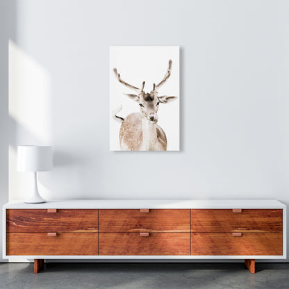 Deer I Photography Print by Victoria Frost A2 Canvas