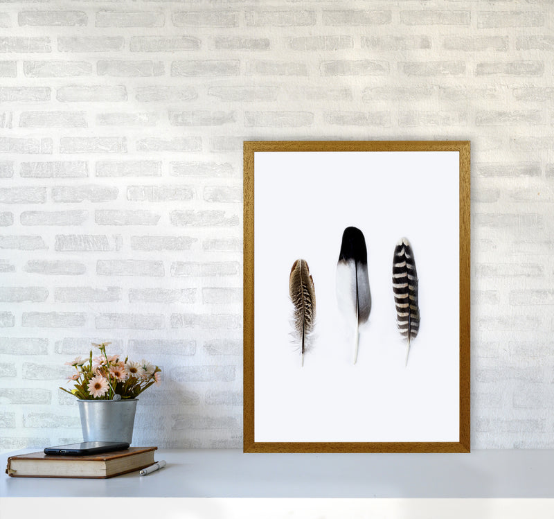 Spirits III Photography Print by Victoria Frost A2 Print Only