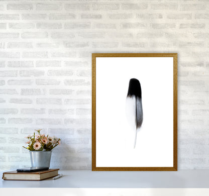 Spirit l Photography Print by Victoria Frost A2 Print Only