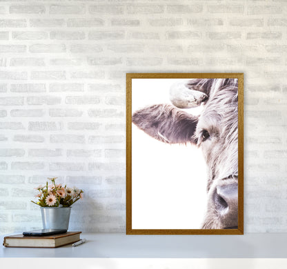 Highlander II Photography Print by Victoria Frost A2 Print Only