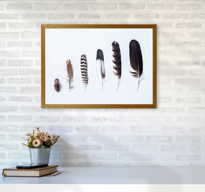 Feathers II Photography Print by Victoria Frost A2 Print Only