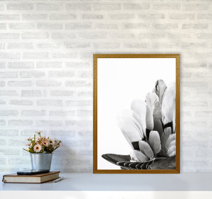 Feathers Photography Print by Victoria Frost A2 Print Only