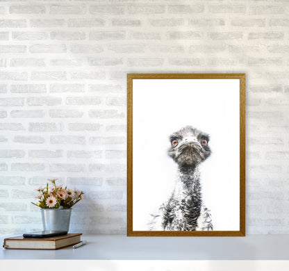 E.M.U Photography Print by Victoria Frost A2 Print Only