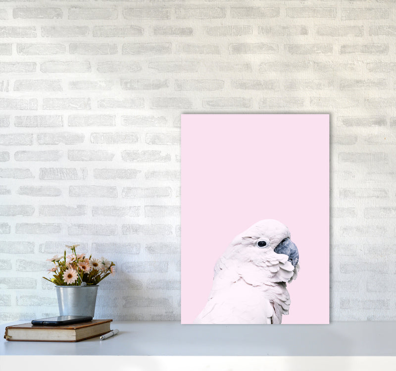 Pink Cockatoo Photography Print by Victoria Frost A2 Black Frame