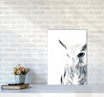 Owl I Photography Print by Victoria Frost A2 Black Frame