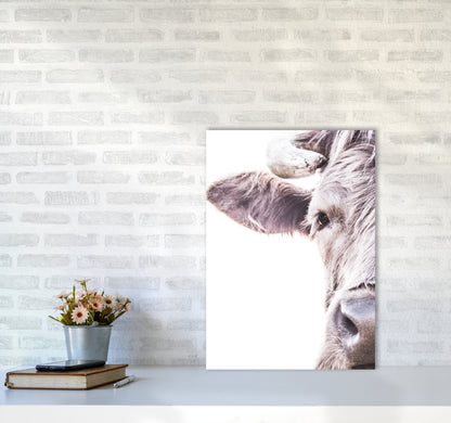 Highlander II Photography Print by Victoria Frost A2 Black Frame