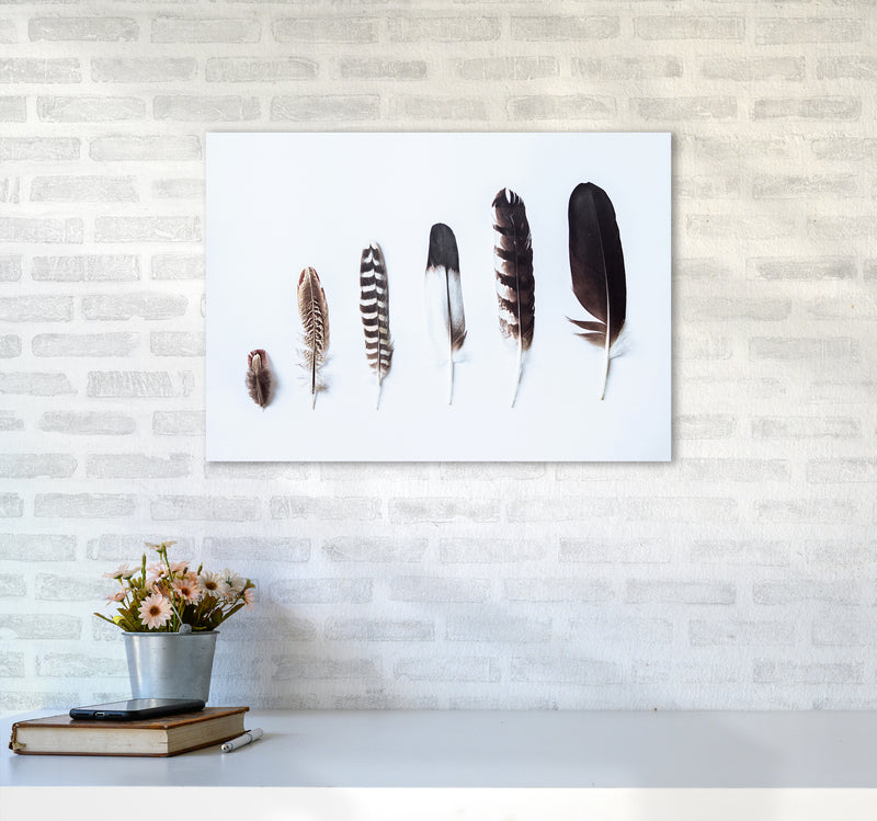 Feathers II Photography Print by Victoria Frost A2 Black Frame