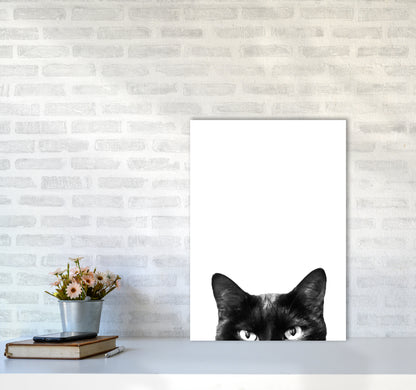 Black Cat Photography Print by Victoria Frost A2 Black Frame