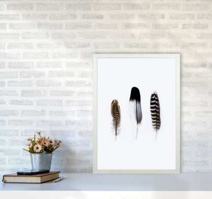 Spirits III Photography Print by Victoria Frost A2 Oak Frame