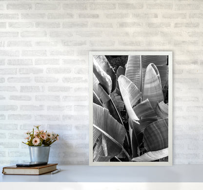 Palms Leafs Photography Print by Victoria Frost A2 Oak Frame