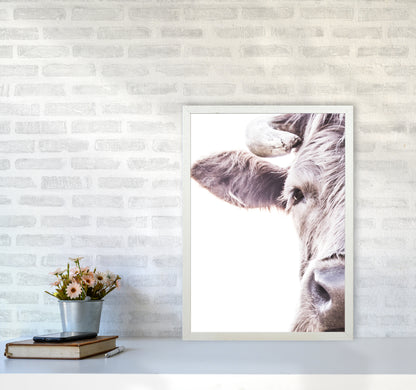 Highlander II Photography Print by Victoria Frost A2 Oak Frame