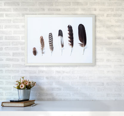 Feathers II Photography Print by Victoria Frost A2 Oak Frame