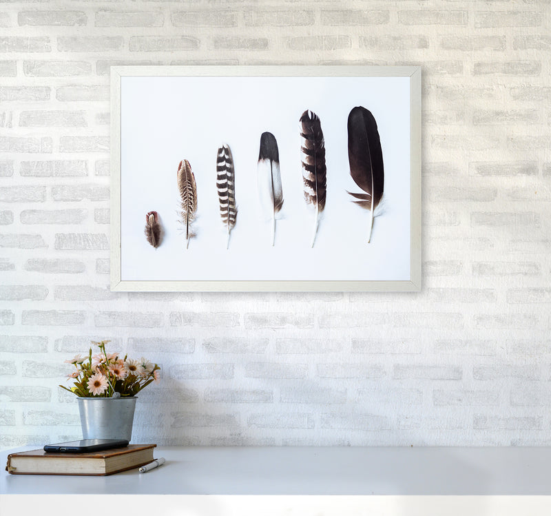 Feathers II Photography Print by Victoria Frost A2 Oak Frame