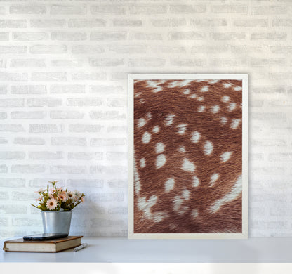 Deer skin Photography Print by Victoria Frost A2 Oak Frame