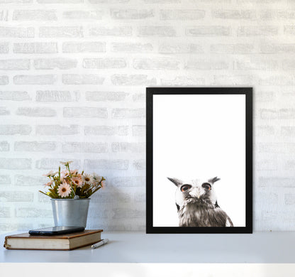 Lil Owl Photography Print by Victoria Frost A3 White Frame