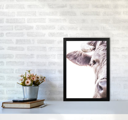 Highlander II Photography Print by Victoria Frost A3 White Frame