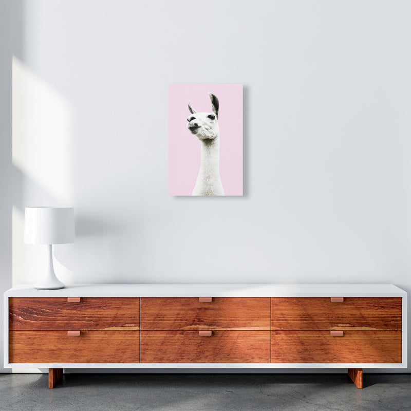 Pink Llama Photography Print by Victoria Frost A3 Canvas