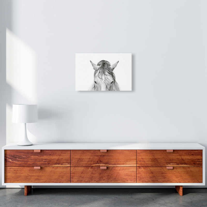 Horse II Photography Print by Victoria Frost A3 Canvas