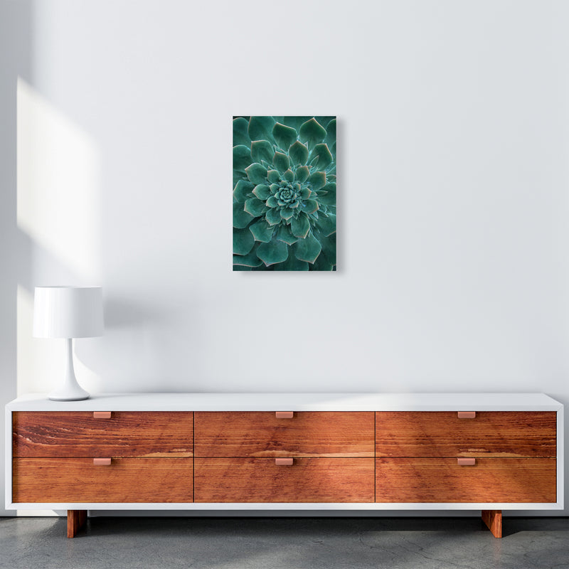 Green Succulent Plant Photography Print by Victoria Frost A3 Canvas