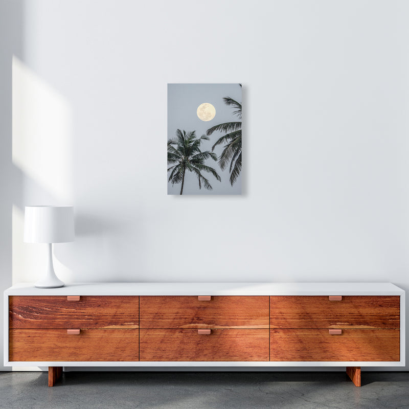 Full Moon Photography Print by Victoria Frost A3 Canvas