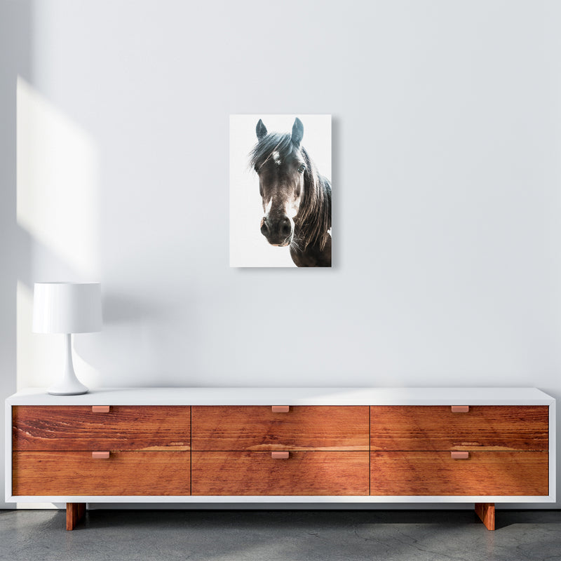 Brown Horse Photography Print by Victoria Frost A3 Canvas