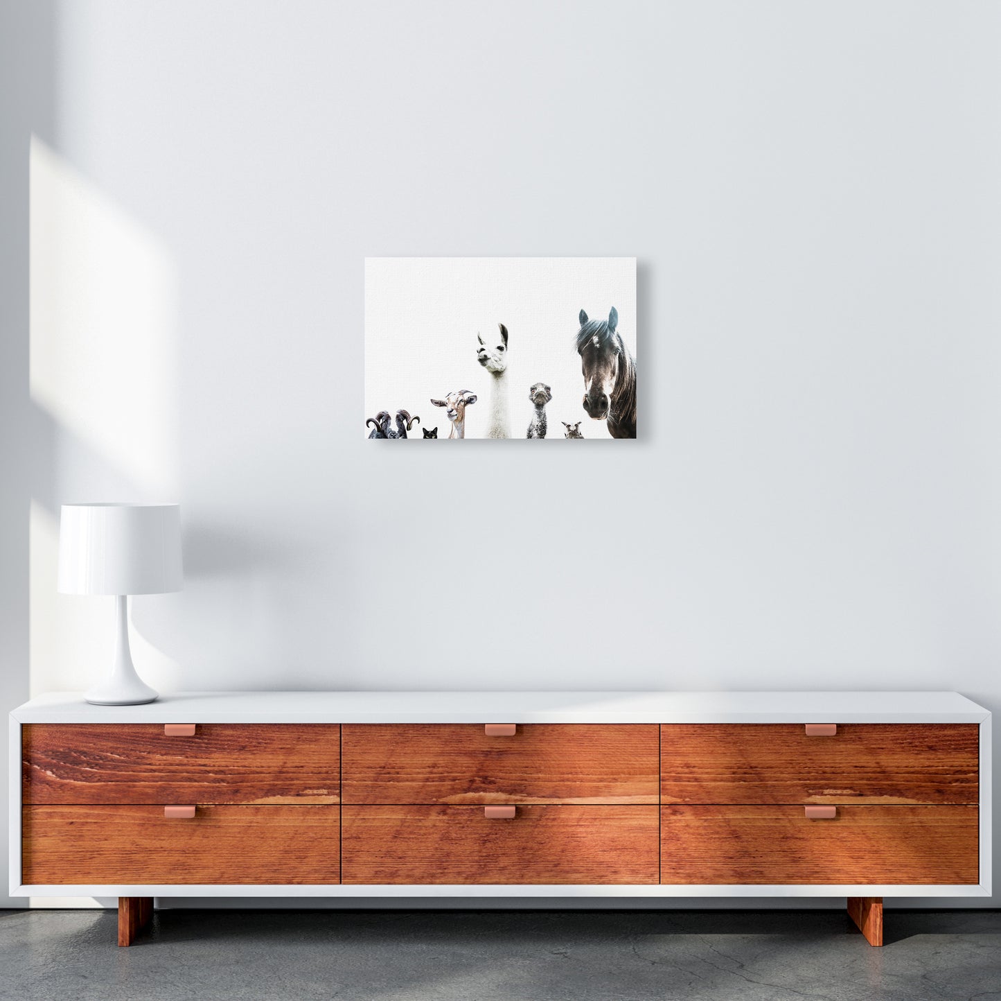 Animal Crew Photography Print by Victoria Frost A3 Canvas