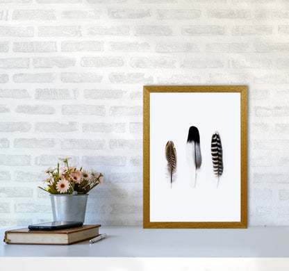 Spirits III Photography Print by Victoria Frost A3 Print Only