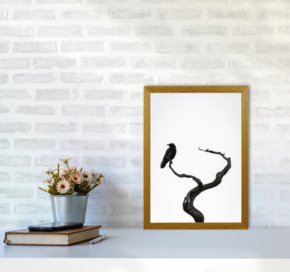 On the look out Photography Print by Victoria Frost A3 Print Only