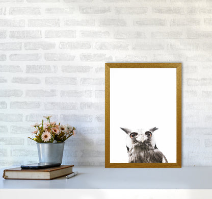 Lil Owl Photography Print by Victoria Frost A3 Print Only